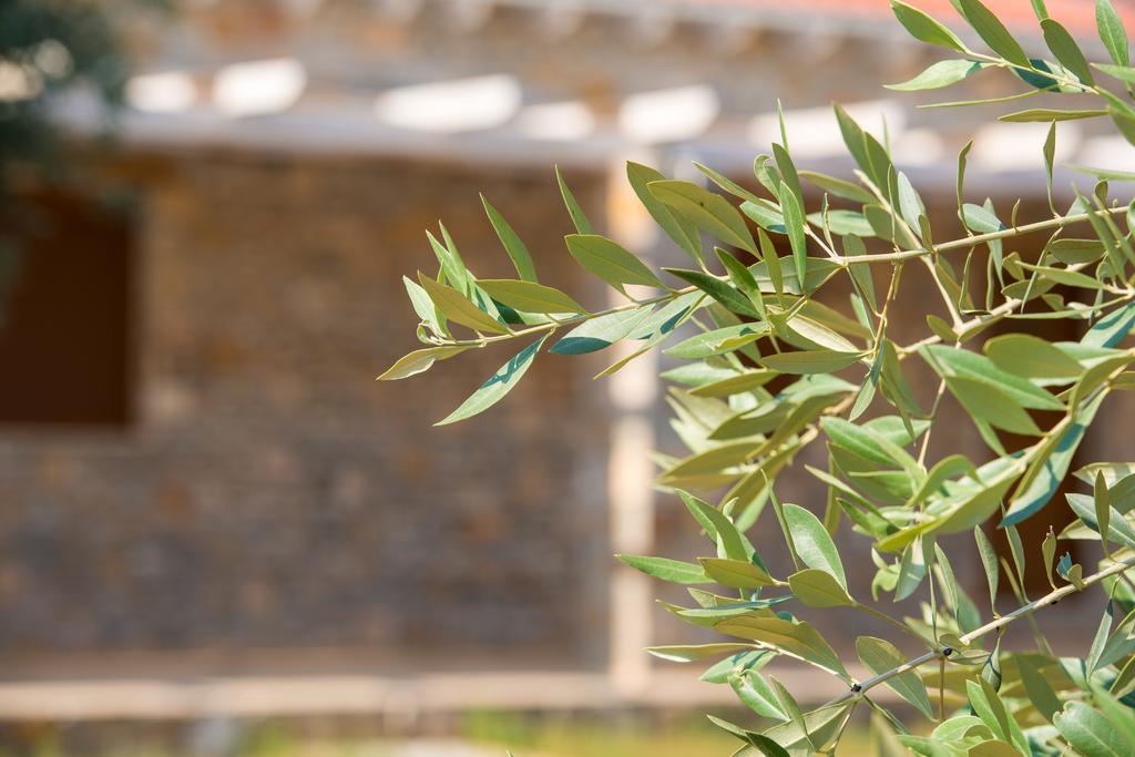 Olive Land Villas Limenaria  Room photo
